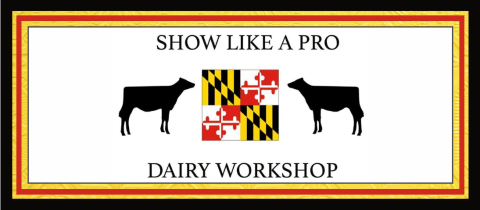 Show Like A Pro Dairy Workshop cover photo