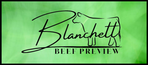Blanchett Beef Preview Show cover photo