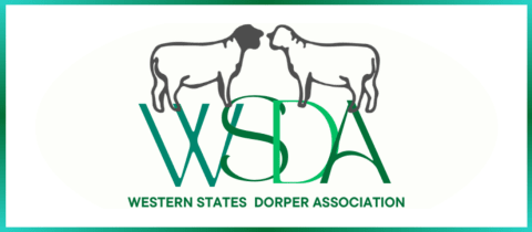Western States Dorper Association Show and Sale 2026 cover photo