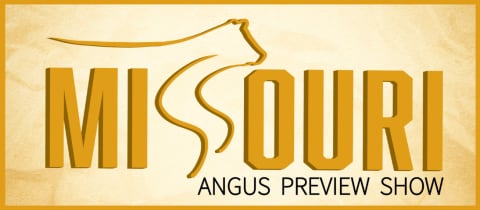 Missouri Angus Preview Show Weekend cover photo