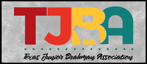 TJBA State Junior Brahman Show cover photo
