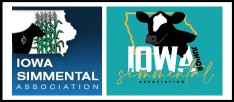 2026 ISA Field Day cover photo