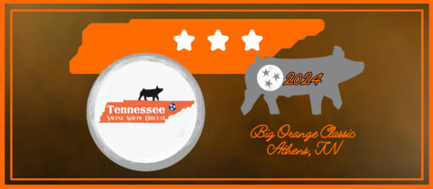 Big Orange Fall Classic cover photo