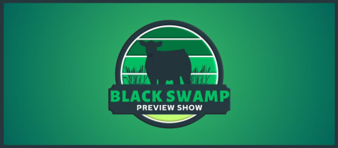 Black Swamp Preview Show cover photo