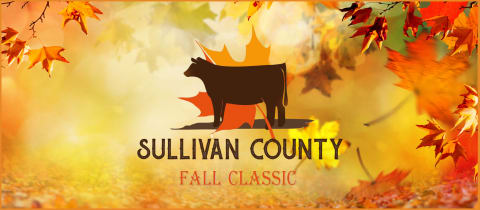 Sullivan County Fall Classic cover photo