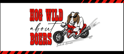 Hog Wild About Boers - Fall Show cover photo