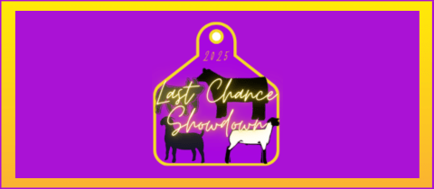Last Chance Showdown cover photo