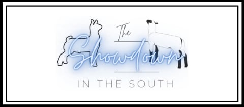 Showdown in the South cover photo