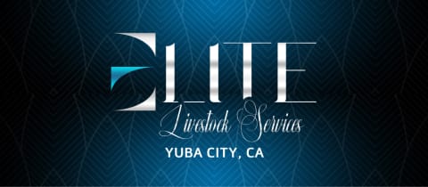 Elite Livestock Camps- Yuba City, CA  cover photo