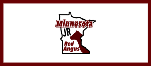 MN Jr Red Angus Summer Show cover photo