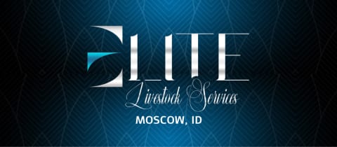 Elite Livestock Camps- Moscow, ID cover photo