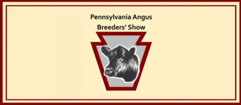 PA Angus Breeders Show cover photo