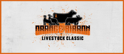 Orange Ribbon Livestock Classic  cover photo