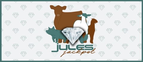 Jules Jackpot 2026 cover photo