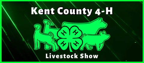 Kent County 4-H Livestock Show cover photo