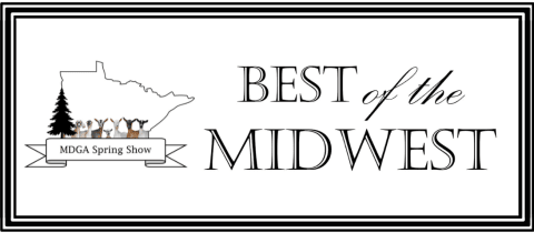 2026 Best of the Midwest - MDGA State Show cover photo