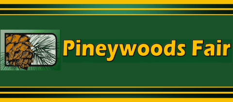 Pineywoods Fair cover photo
