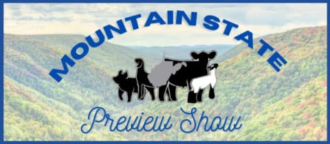 Mountain State Preview  cover photo