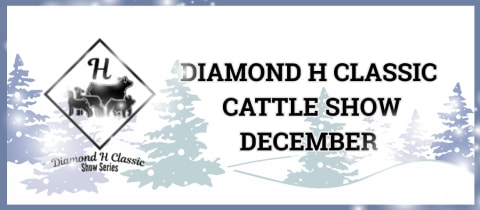 DIAMOND H CLASSIC CATTLE SHOW December cover photo