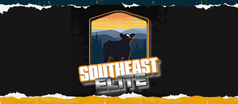 SouthEast Elite  cover photo