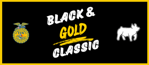 Black & Gold Classic 2 Ring Pig Show cover photo