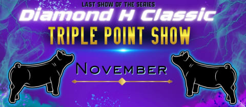 DIAMOND H CLASSIC PIG SHOW SERIES November cover photo