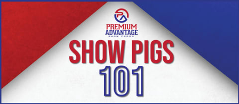 Show Pigs 101 cover photo