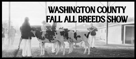 Washington County Fall All Breeds Show cover photo