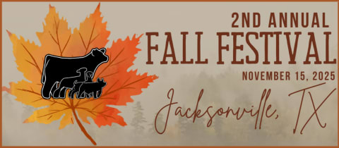 2025 Fall Festival cover photo