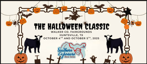 Halloween Classic cover photo