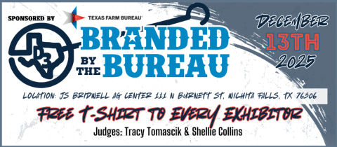 Branded By The Bureau cover photo