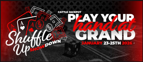 Shuffle Up Showdown cover photo
