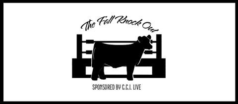 The Fall Knock Out Jackpot  cover photo