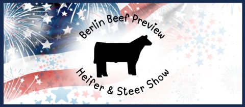 Berlin Beef Preview cover photo