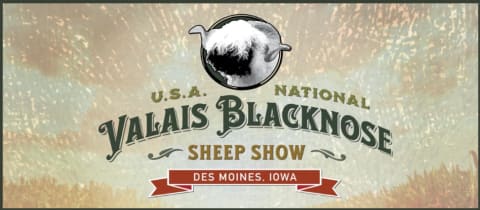 USA National Valais Blacknose Sheep Show cover photo