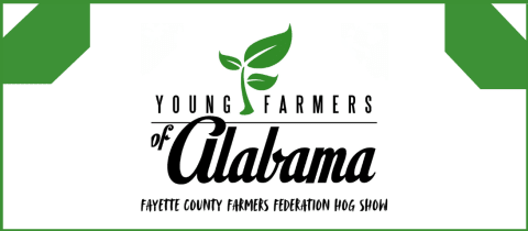 Fayette County Farmers Federation Hog Show cover photo
