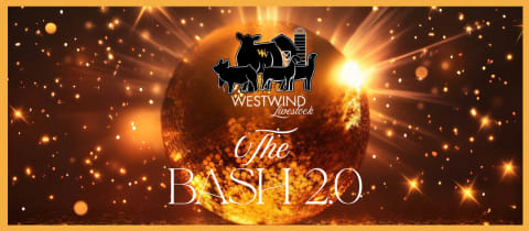 The Bash 2.0 cover photo