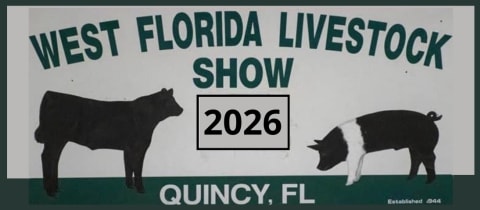 West Florida Livestock Heifer Show cover photo