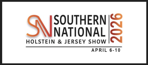 Southern Spring National Holstein & Jersey Show cover photo