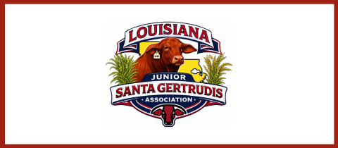 2026 LJSGA Warm Up Show cover photo