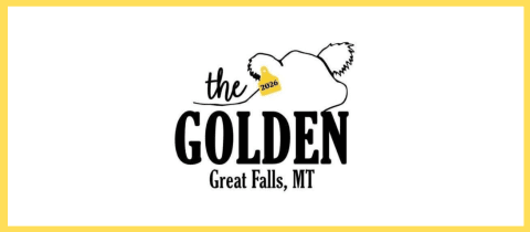 The Golden - Steer & Heifer Show cover photo