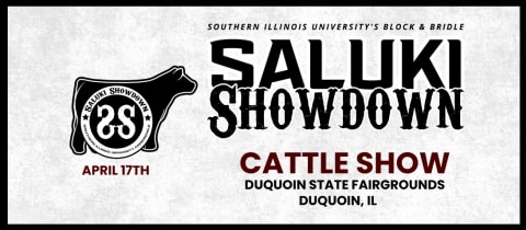 Saluki Showdown Cattle Show  cover photo