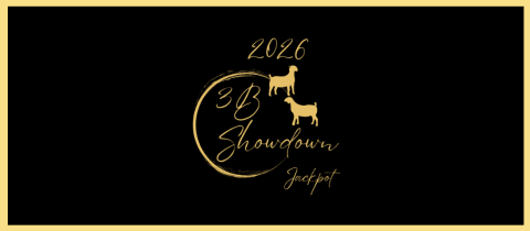 3B Showdown cover photo