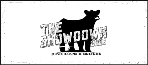 LNC SHOWDOWN cover photo