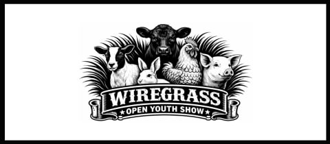 Wiregrass Open Youth Show cover photo