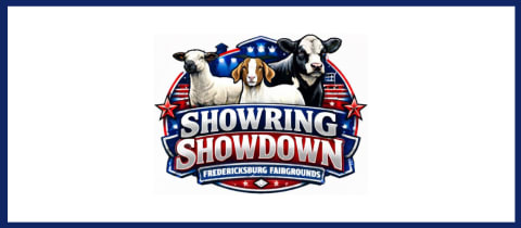 Showring Showdown cover photo