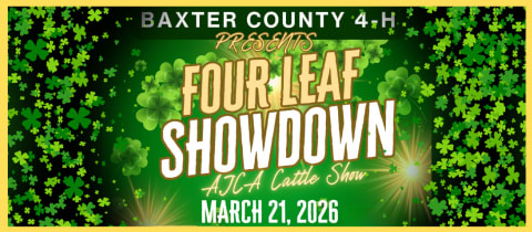Four Leaf Showdown cover photo