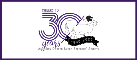 Mid-America Dorper Sheep Show & Sale cover photo