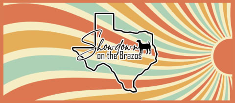 Showdown on the Brazos  cover photo