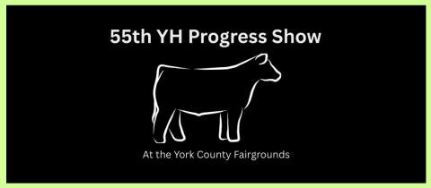 York Hamilton Progress Show  cover photo